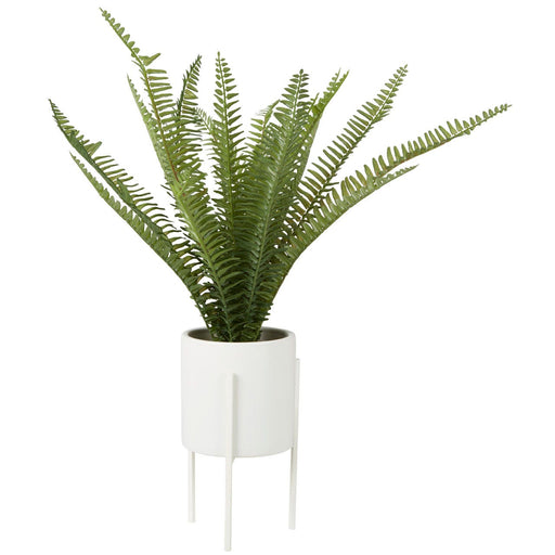 Fiori Fern with White Cement and Iron Pot - Modern Home Interiors