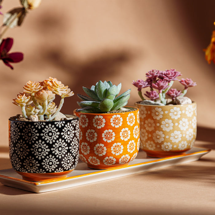 Global Craft Mini Planters - Set Of 3 - With Tray Included