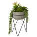 Fiori Mixed Succulent with Metal Stand - Modern Home Interiors