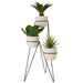 Fiori Set of 3 Succulents with Metal Stand - Modern Home Interiors