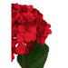 Fiori Hydrangea Stem Red Flower - 74cm - Modern Home Interiors