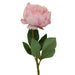 Fiori Peony Stem Pink Flower - 65cm - Modern Home Interiors