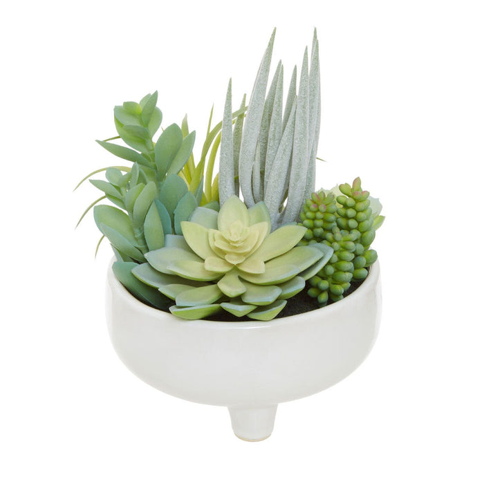 Fiori Mixed Succulents in Large Ceramic Pot - Modern Home Interiors