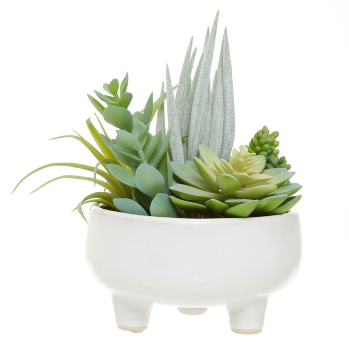 Fiori Mixed Succulents in Large Ceramic Pot - Modern Home Interiors