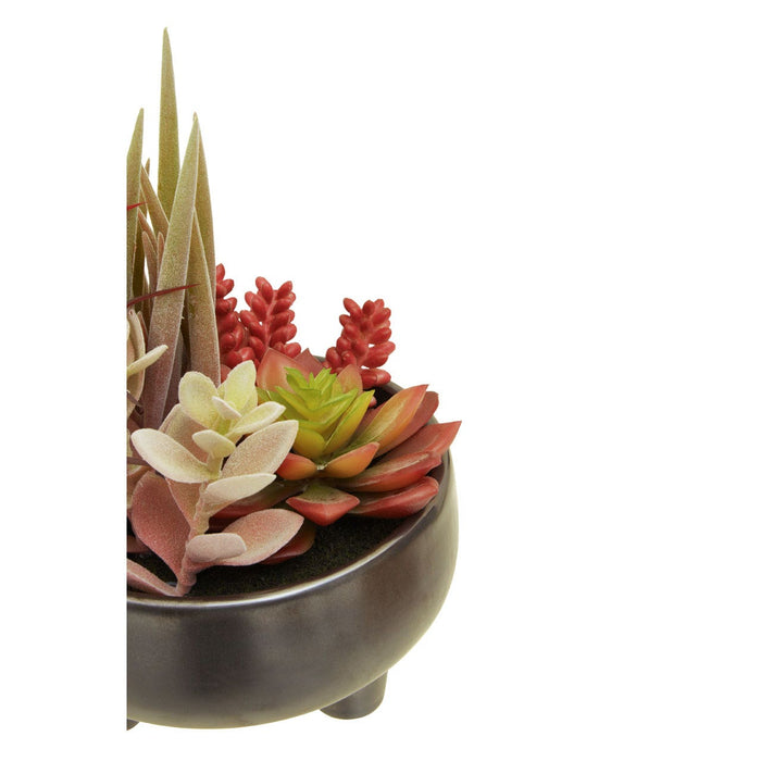 Fiori Mixed Succulents in Grey Ceramic Pot - Modern Home Interiors