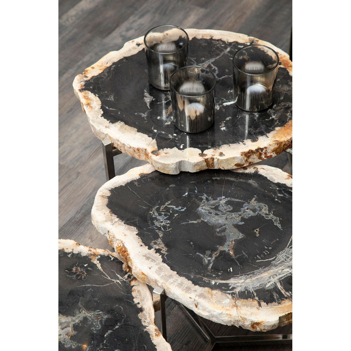 Relic Set of 3 Dark Petrified Wood Tables - Modern Home Interiors