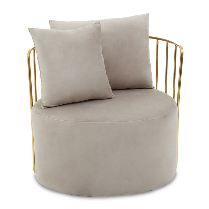 Luxe Mink Velvet and Gold Accent Chair + 2 Matching Pillows