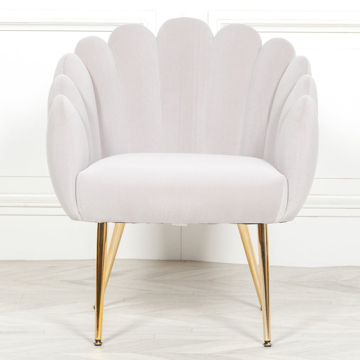 Deco Grey Velvet Accent/ Dining Chair with Gold Legs - Modern Home Interiors