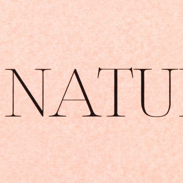 Artsy Mats Au Natural Pink Stone Non Slip Bath Mat - Touch Dry
