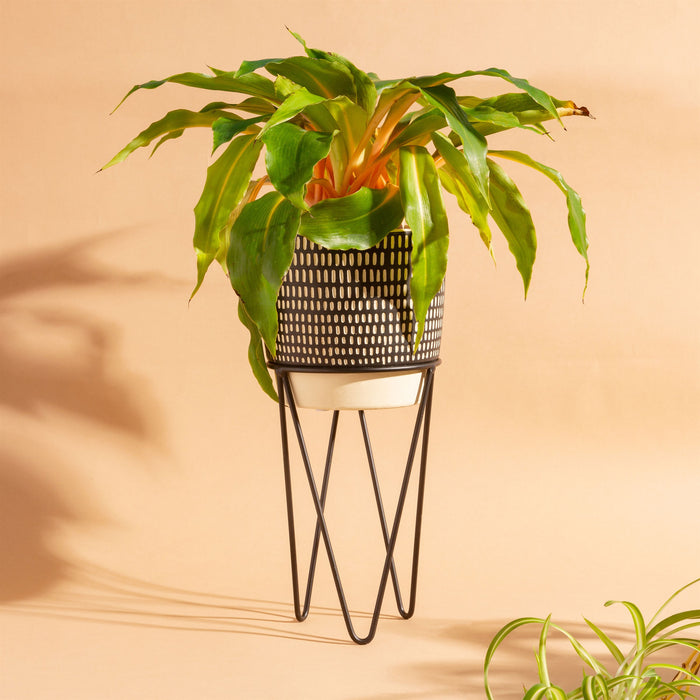 Black Dash Cement Planter With Wire Stand